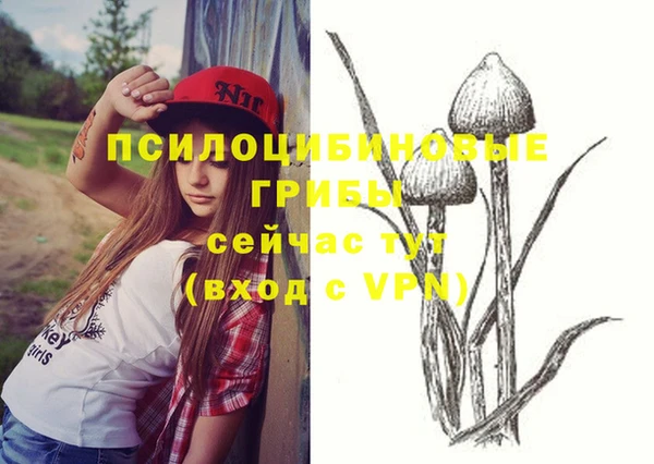 спиды Алзамай