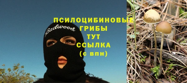 спиды Алзамай