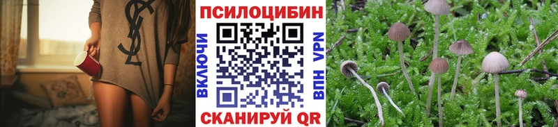 дарк нет телеграм  где купить наркоту  Кола  Псилоцибиновые грибы Magic Shrooms  мега маркетплейс 